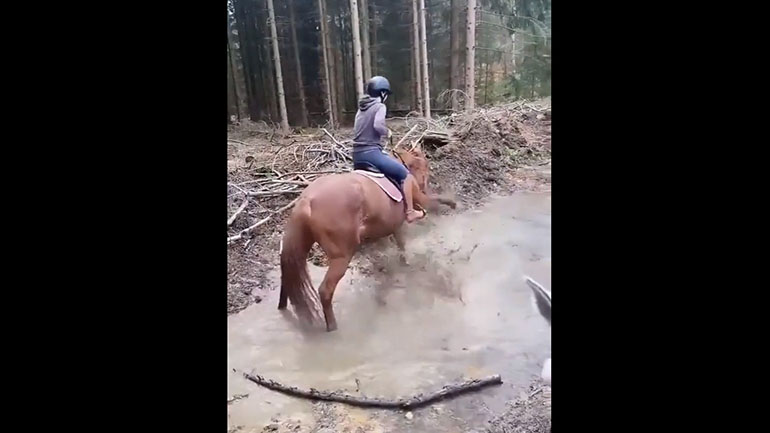 Άλογο εναντίον λακκούβας